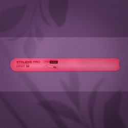 Straight beveled plastic base for nail file EXPERT 20